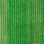 559555-2.webp