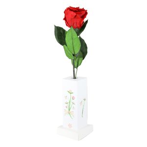 Rosa preservada SLENDER perfumada 100% natural de color rojo. - ETERNA