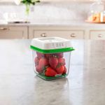 Recipiente-Freshworks-Medium