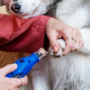 Kit Dremel 7350 PET inalámbrico para animales domésticos; Incluye cable USB de carga. - DREMEL