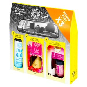 Kit de eliminadores de olores, aromatizantes y difusores para uso en automóviles. - LULE