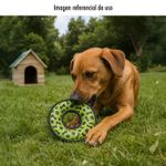 11416-2