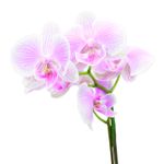 200717