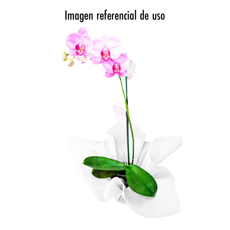 200717-3