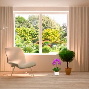 Orquídea NATURAL morada de 7 x 50 x 7 cm (tamaño 1). - MULTIFLOR