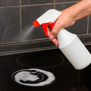 Rociador plástico multiusos de 340 ml. - TORVI
