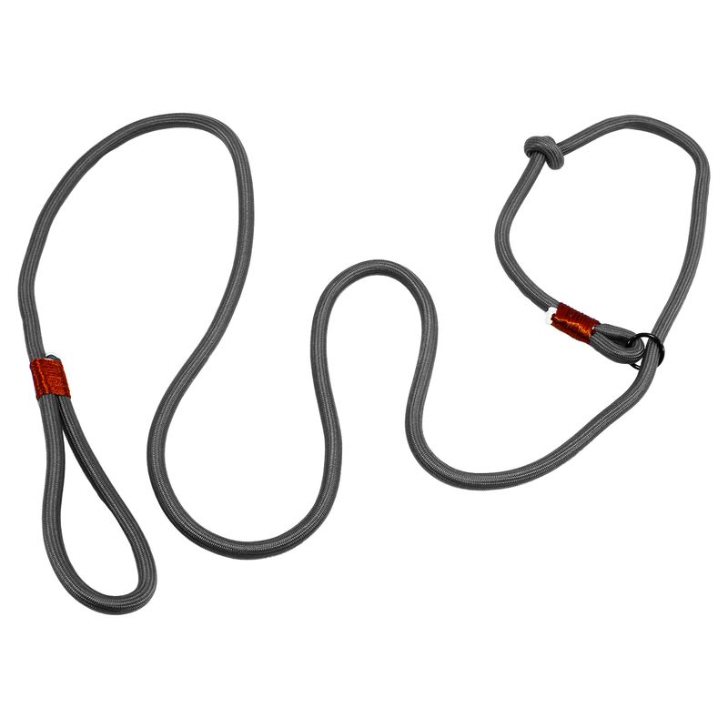 Correa-para-perro-de-120-cm-para-perros-de-hasta-25-kg.---ORGILL