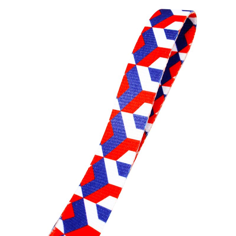 Set-de-collar-y-correa-para-perro-con-diseño-de-figuras-tridimensionales---PUPPY---CO.