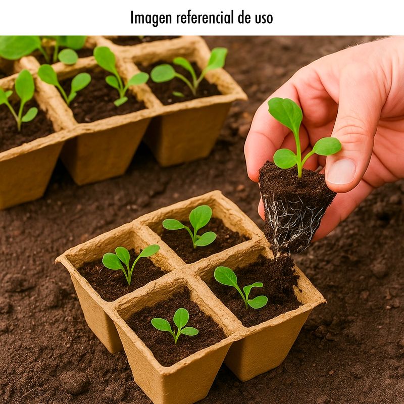 Set-de-cubetas-para-transplante-de-plantas-con-3-piezas-de-8-celdas.---K-HOME