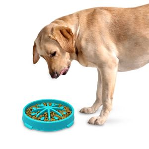 Plato para perro con diseño para calmar el estrés y la ansiedad. - K HOME