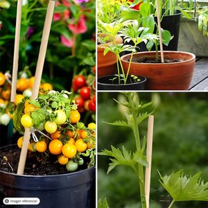 Set de 25 palos de bambú de 40 cm con función de soporte de plantas. - K HOME