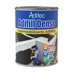 Vista principal