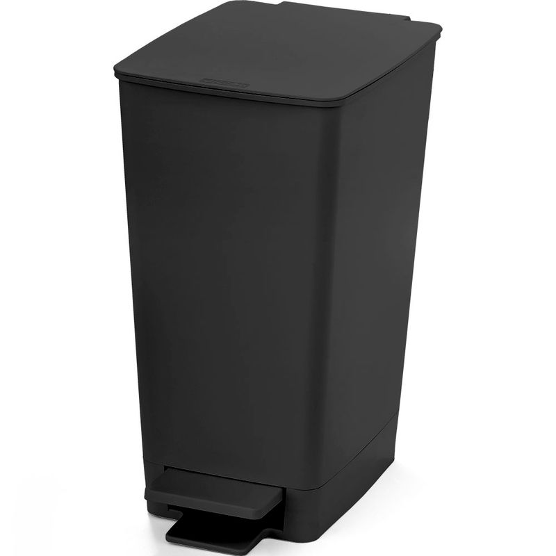Vista principal