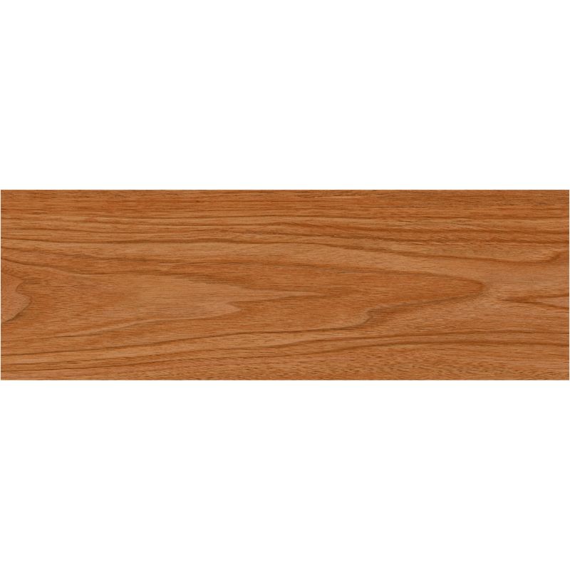 Vista principal